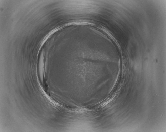 X0000053120853200508012149