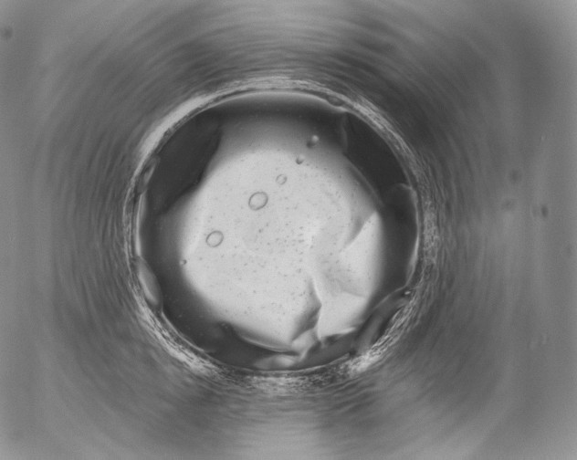 X0000053120854200508012149