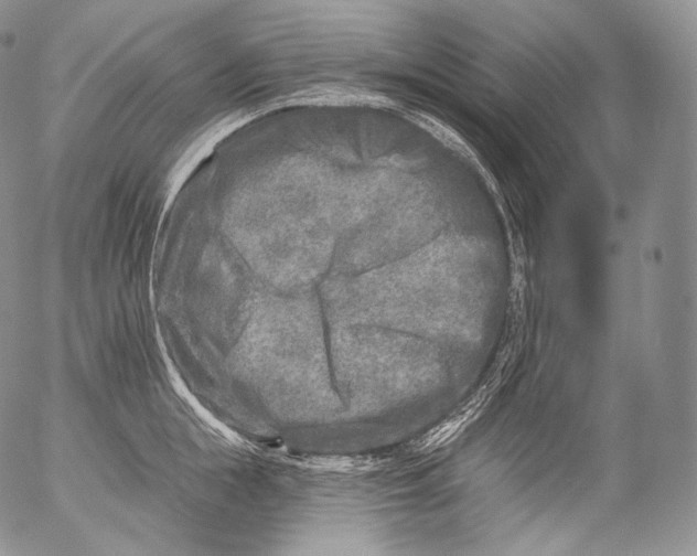 X0000053120855200508012149