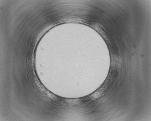 X0000053120856200508012149