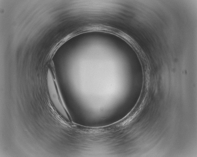 X0000053120857200508012150