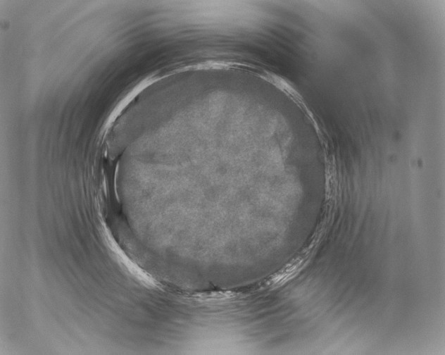 X0000053120859200508012150