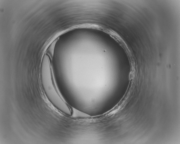 X0000053120860200508012150