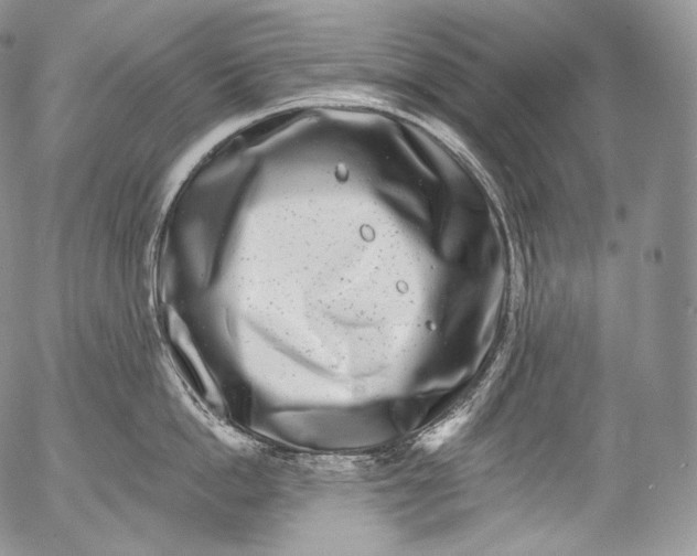 X0000053120862200508012150