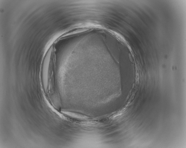 X0000053120863200508012150