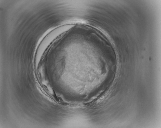 X0000053120864200508012150