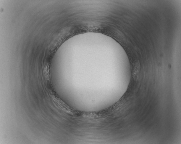 X0000053120866200508012149