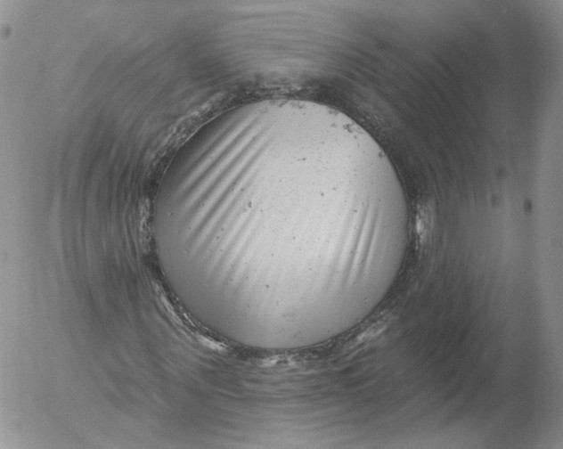 X0000053120867200508012149