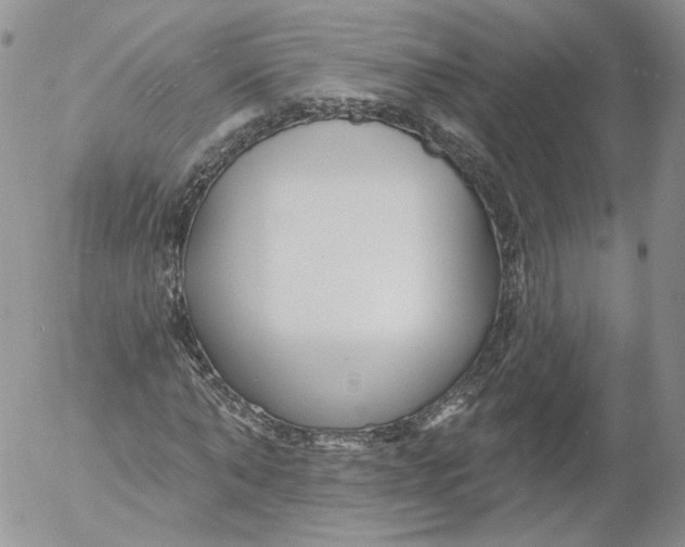 X0000053120870200508012149