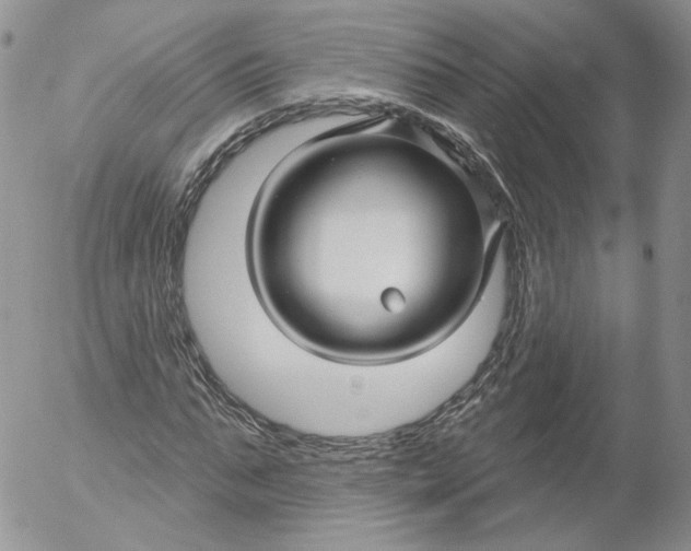 X0000053120871200508012149