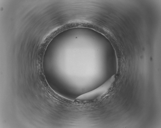 X0000053120872200508012149