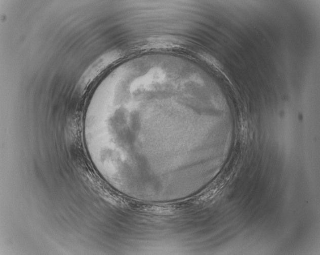 X0000053120874200508012149