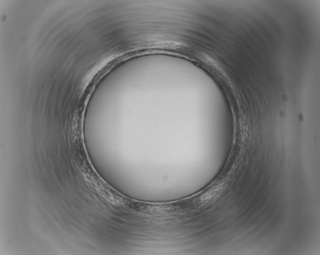 X0000053120875200508012149