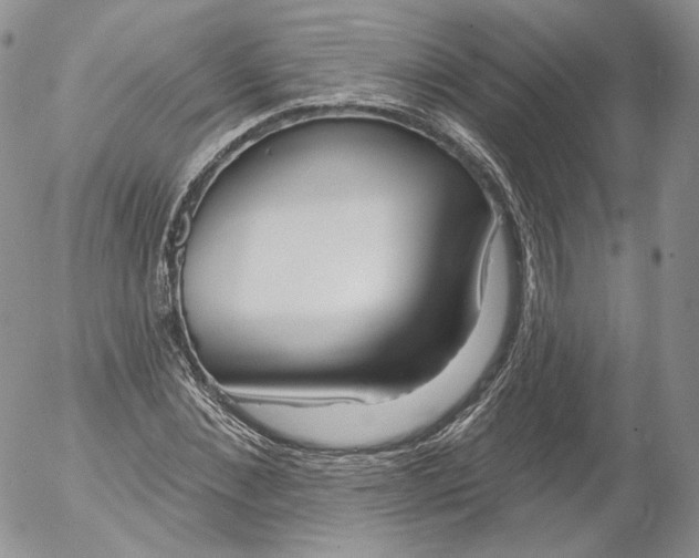 X0000053120876200508012149