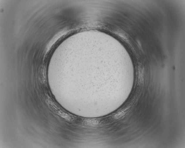 X0000053120878200508012149