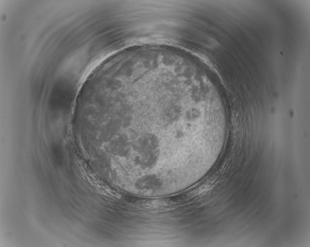 X0000053120879200508012149