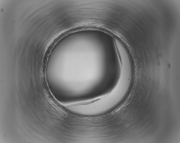 X0000053120880200508012149