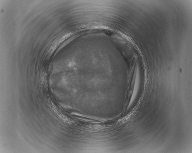 X0000053120881200508012149