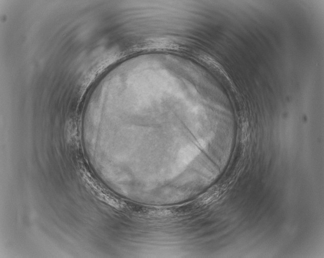 X0000053120882200508012149