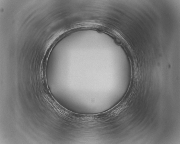 X0000053120883200508012149