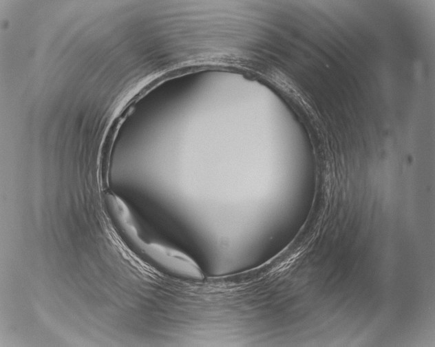 X0000053120884200508012149