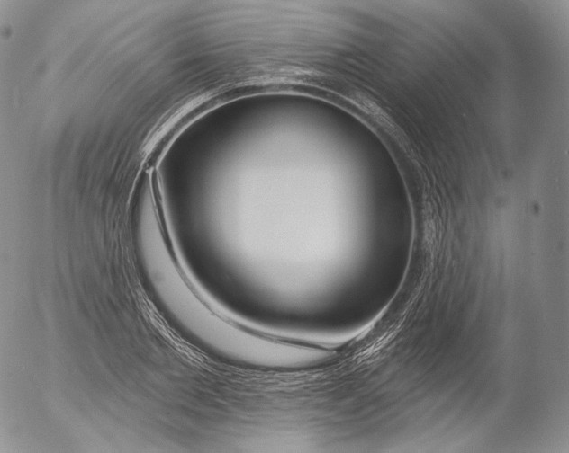 X0000053120885200508012148