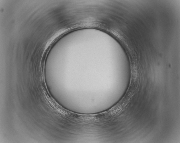 X0000053120886200508012148