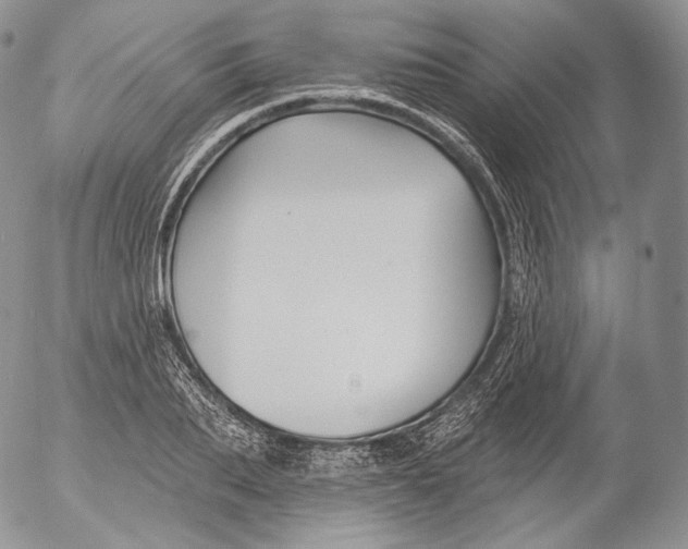 X0000053120887200508012148