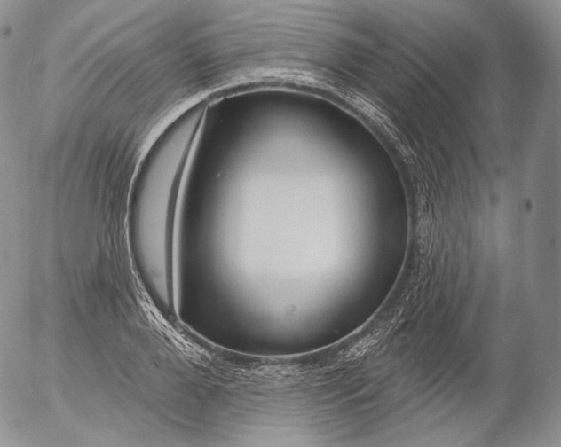 X0000053120888200508012148