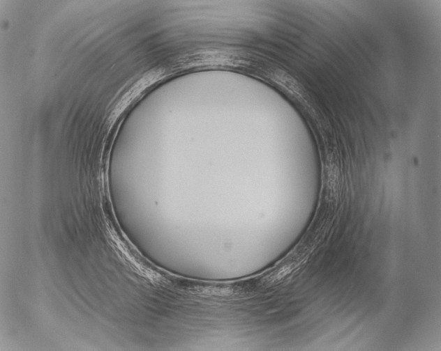 X0000053120890200508012148