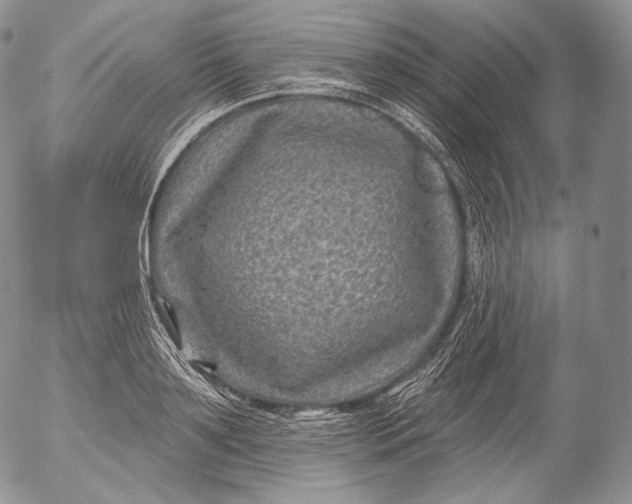 X0000053120891200508012148