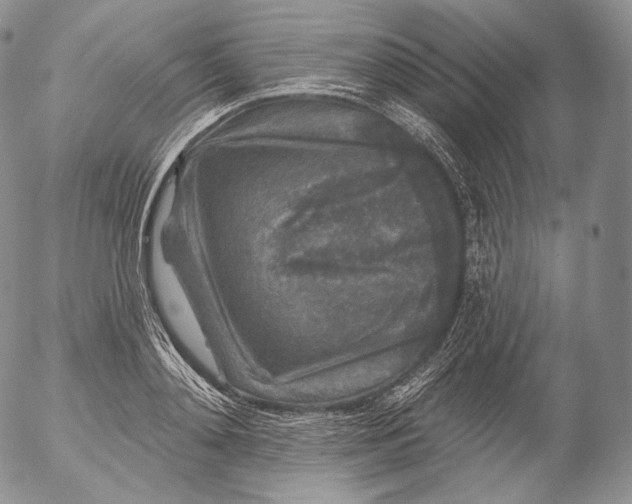 X0000053120892200508012148