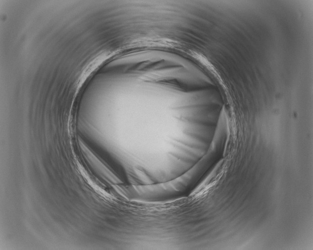 X0000053120893200508012148