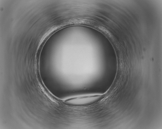 X0000053120894200508012148