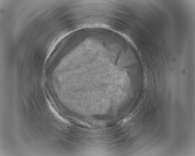 X0000053120895200508012148