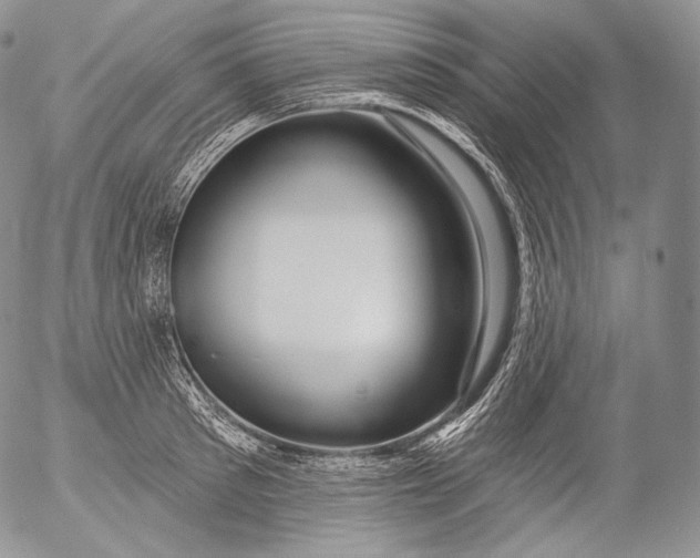 X0000053120897200508012148