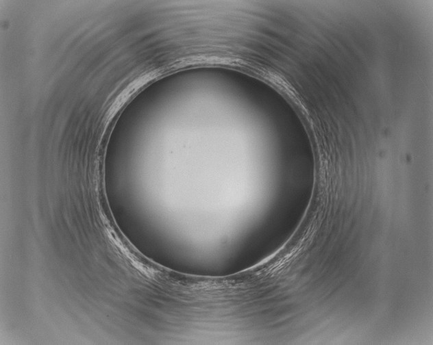 X0000053120898200508012148