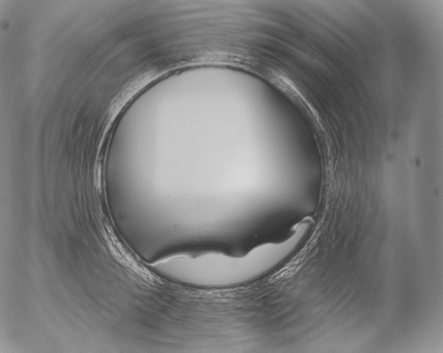 X0000053120900200508012148