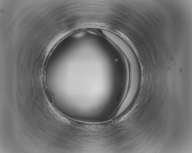 X0000053120901200508012148