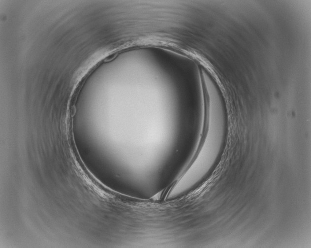 X0000053120902200508012148