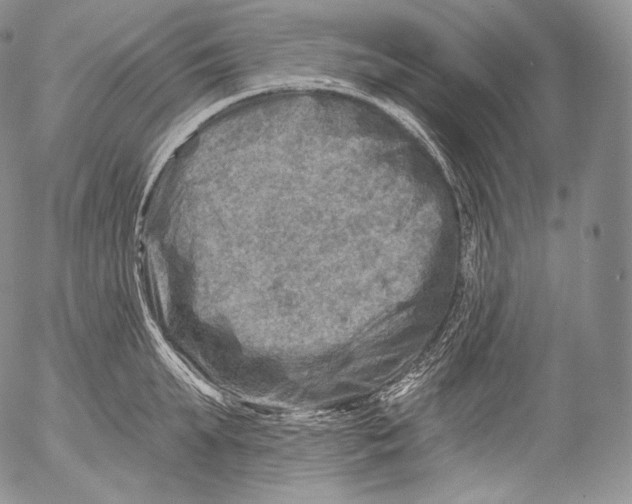 X0000053120903200508012148