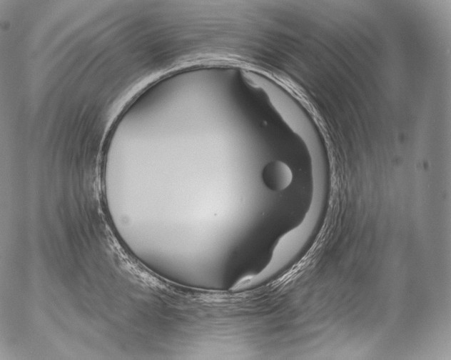 X0000053120904200508012148