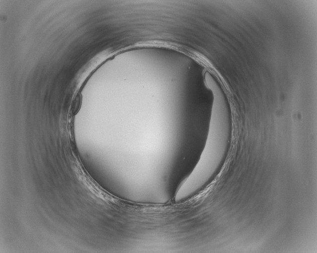 X0000053120908200508012148