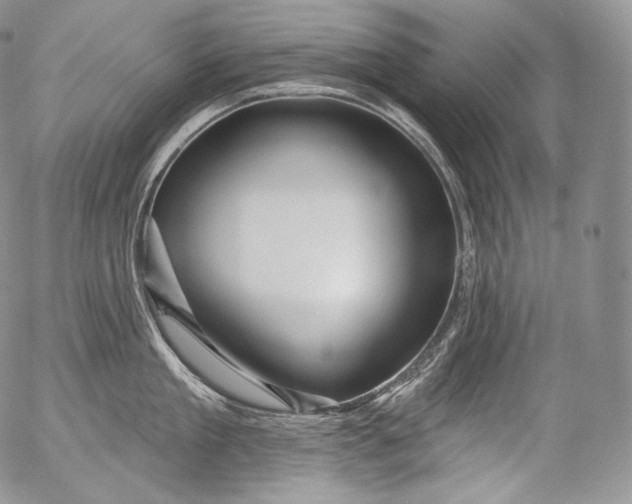 X0000053120909200508012148