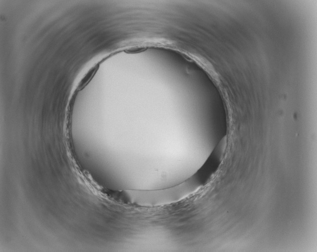 X0000053120912200508012148