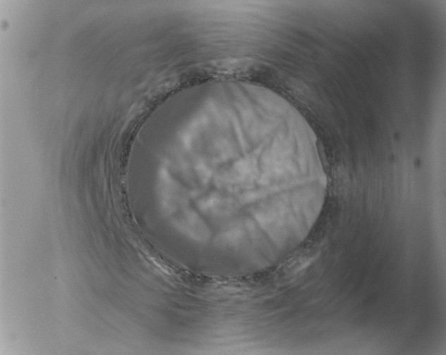 X0000053120913200508012147