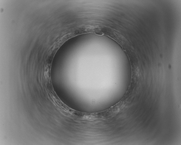 X0000053120914200508012147