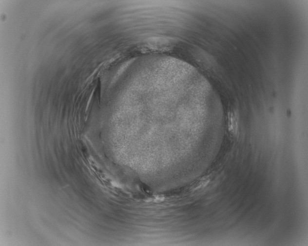 X0000053120915200508012147