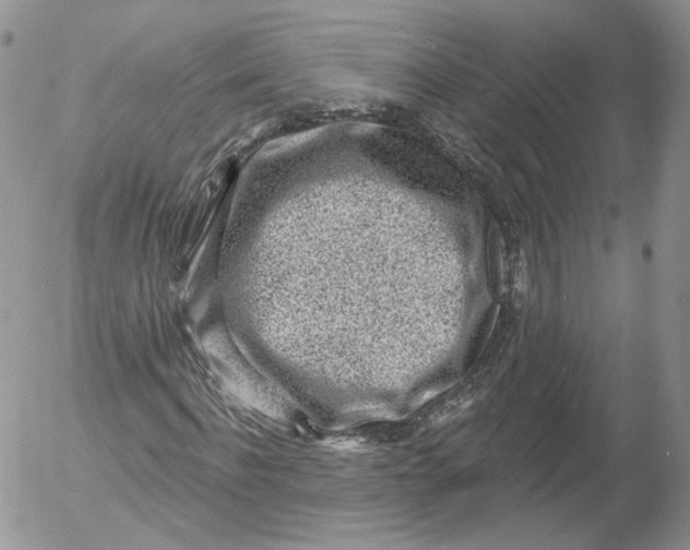 X0000053120916200508012147