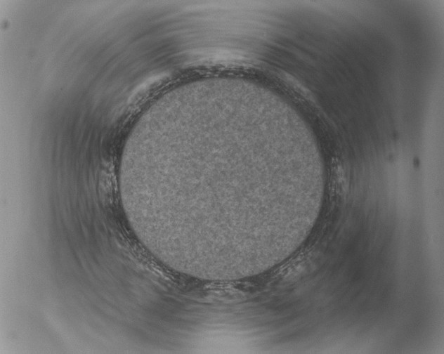 X0000053120918200508012147